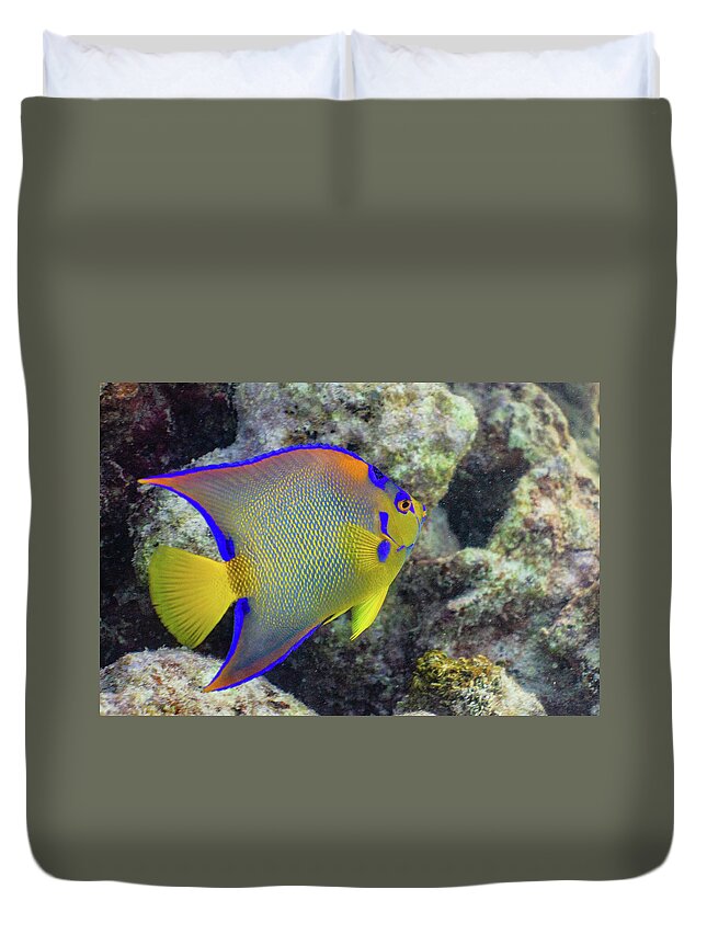 Fish Duvet Cover featuring the photograph Royalty by Lynne Browne