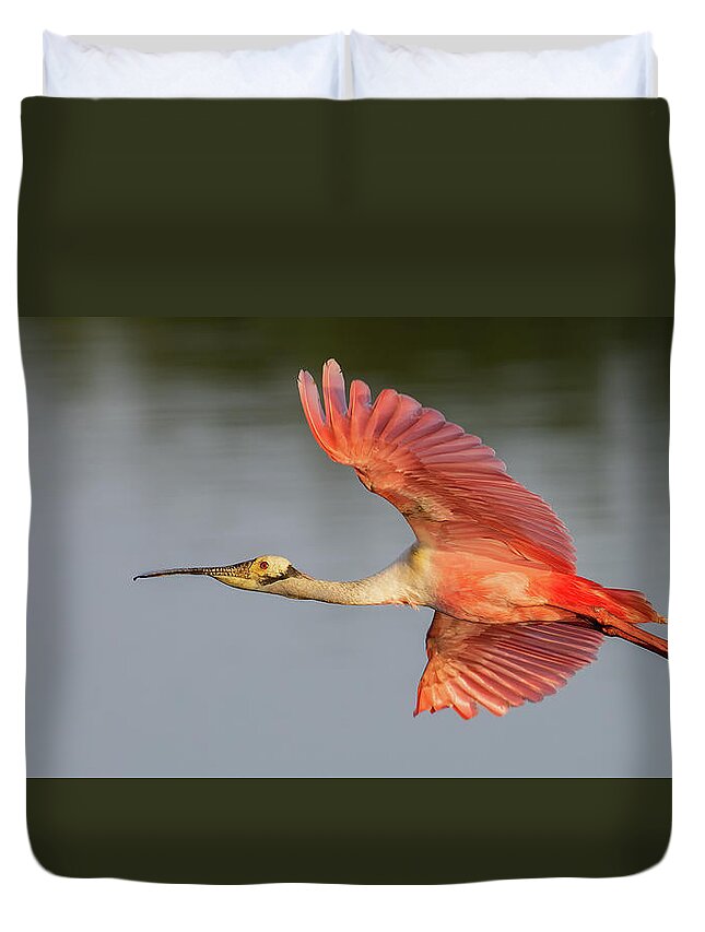 Roseate Spoonbill Duvet Cover featuring the photograph RSB In Flight #2Long by RD Allen