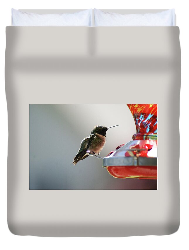  Duvet Cover featuring the photograph Ruby Male by Heather E Harman