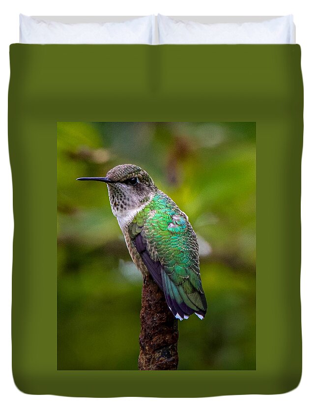 Hummingbird Duvet Cover featuring the photograph Ruby-throated Hummingbird Portrait by Susan Rydberg