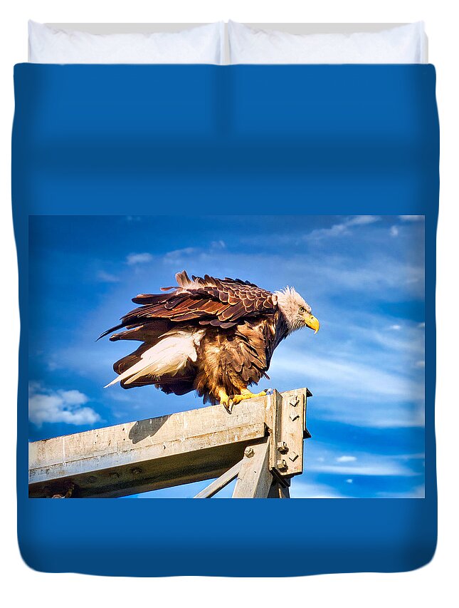  Duvet Cover featuring the photograph Ruffled Feathers by Jack Wilson