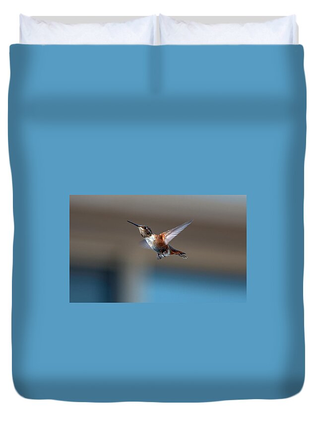 Hummingbird Duvet Cover featuring the photograph Rufus Hummingbird by Rick Mosher