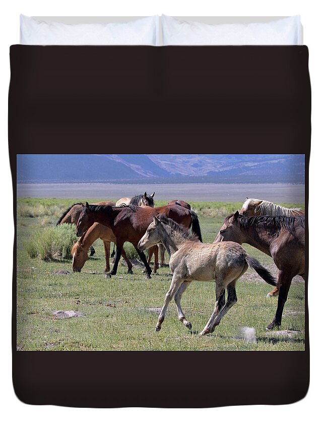 Eastern Sierra Duvet Cover featuring the photograph Running Colt by Cheryl Strahl