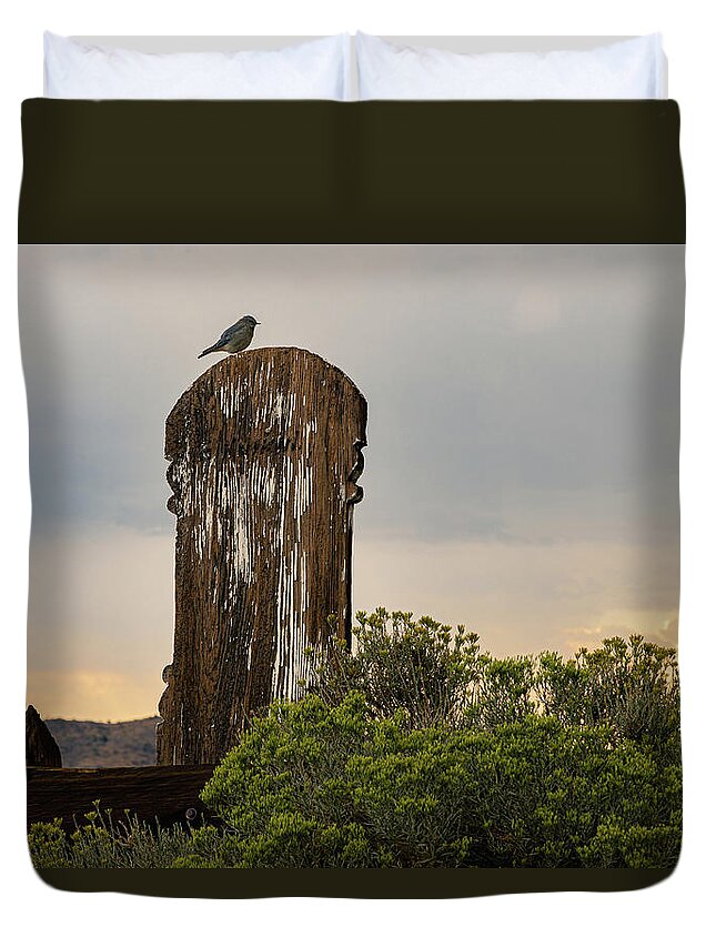 Nevada Duvet Cover featuring the photograph Sacred Messenger by Mike Lee