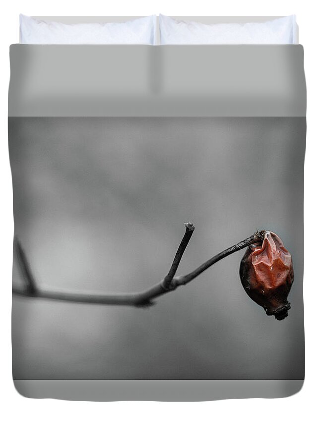Rose Duvet Cover featuring the photograph Sad Rosehip by Martin Vorel Minimalist Photography