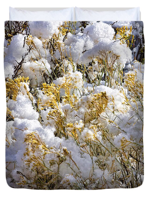 Sagebrush Duvet Cover featuring the photograph Sagebrush covered by snow, Utah by Tatiana Travelways