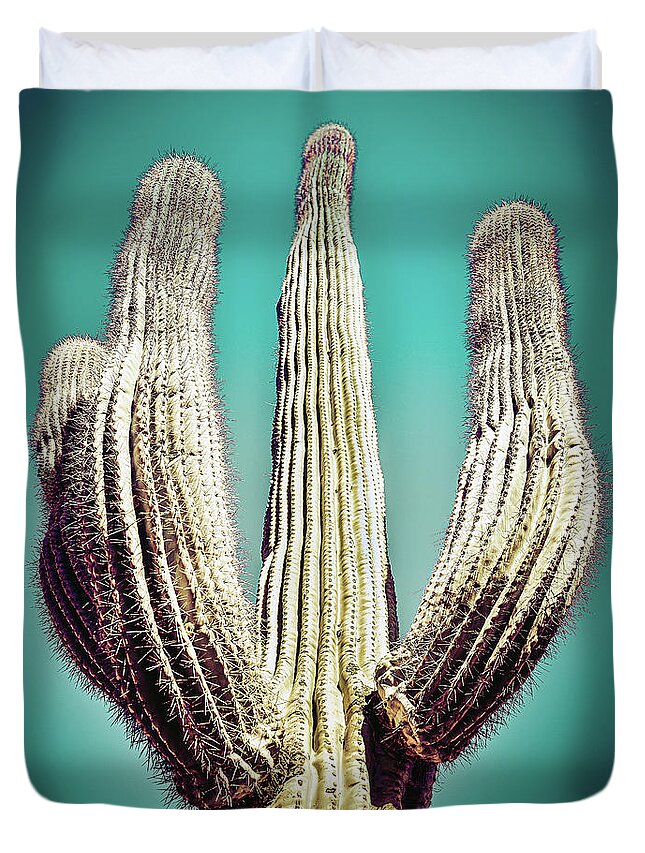 Atmospheric Duvet Cover featuring the photograph Saguaro #4 by Jennifer Wright