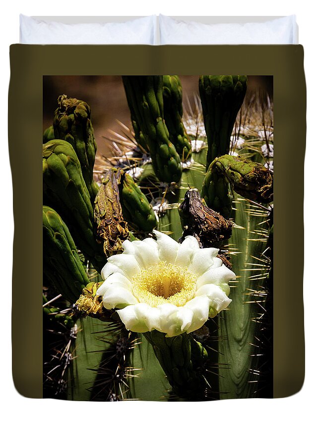 Canyon Duvet Cover featuring the photograph Saguaro Cactus bloom in the Arizona Desert by Craig A Walker