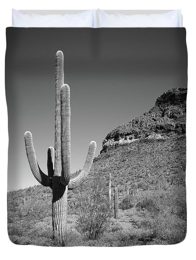 Saguaro National Park Duvet Cover featuring the photograph Saguaro National Park 5 by Mike McGlothlen