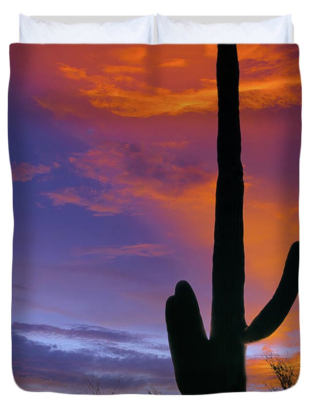 Saguaro Duvet Cover featuring the photograph Saguaro Silhouette by Barbara Manis