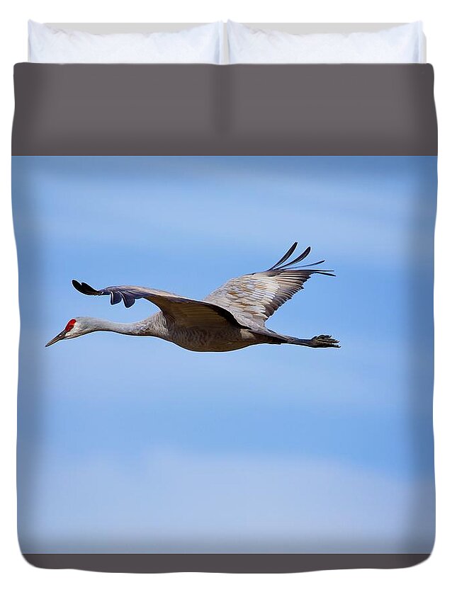 Sandhill Crane Flying By Duvet Cover featuring the photograph Sandhill Crane flying by by Lynn Hopwood