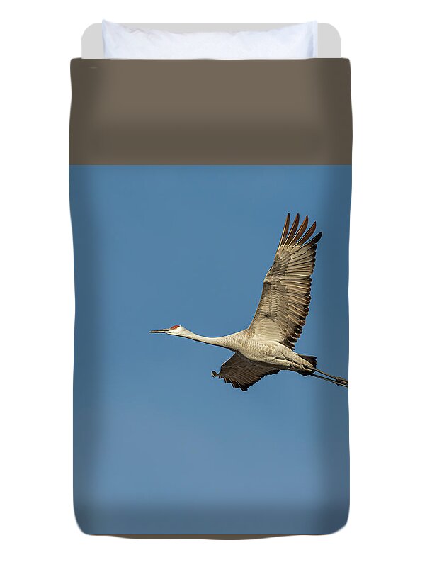 Sandhill Crane Duvet Cover featuring the photograph Sandhill Crane In Flight 2020-1 by Thomas Young