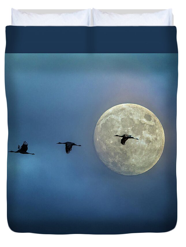 Sky Duvet Cover featuring the photograph Sandhill Cranes with Full Moon by Patti Deters