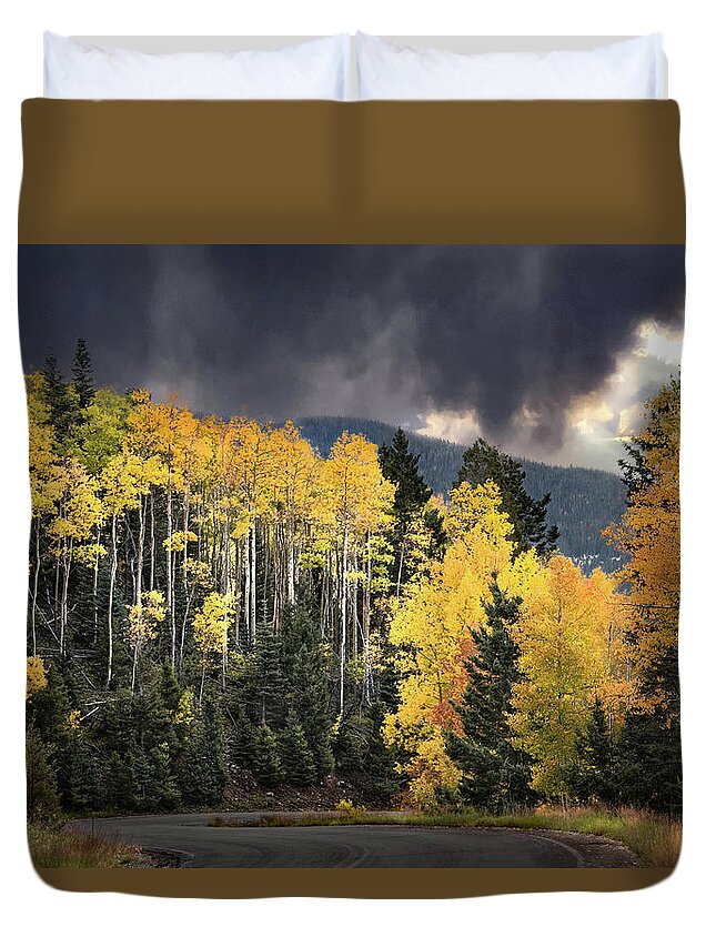 Golden Aspens Duvet Cover featuring the photograph Santa Fe Gold Autumn by Rebecca Herranen