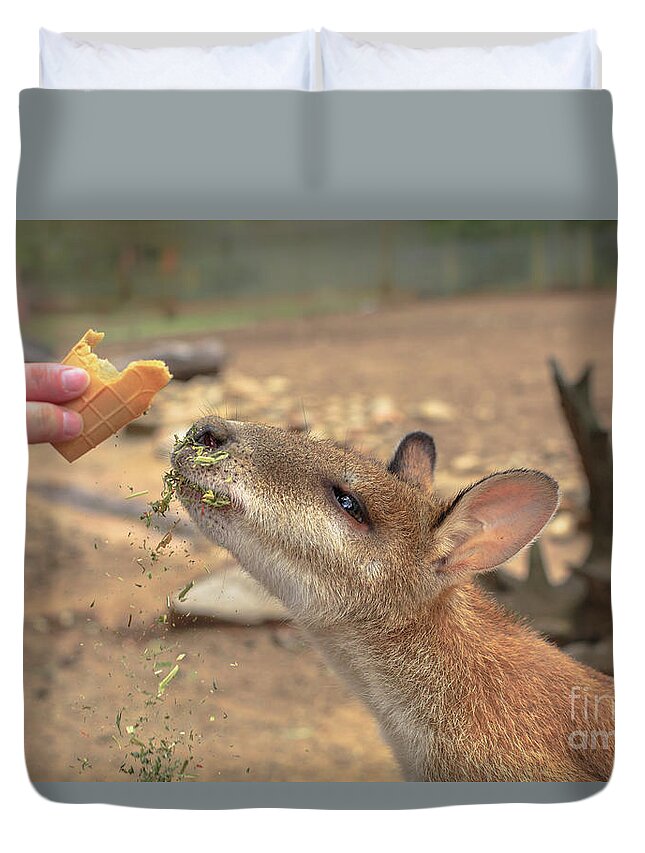 Wallaby Duvet Cover featuring the photograph Save Australian Wallaby by Benny Marty