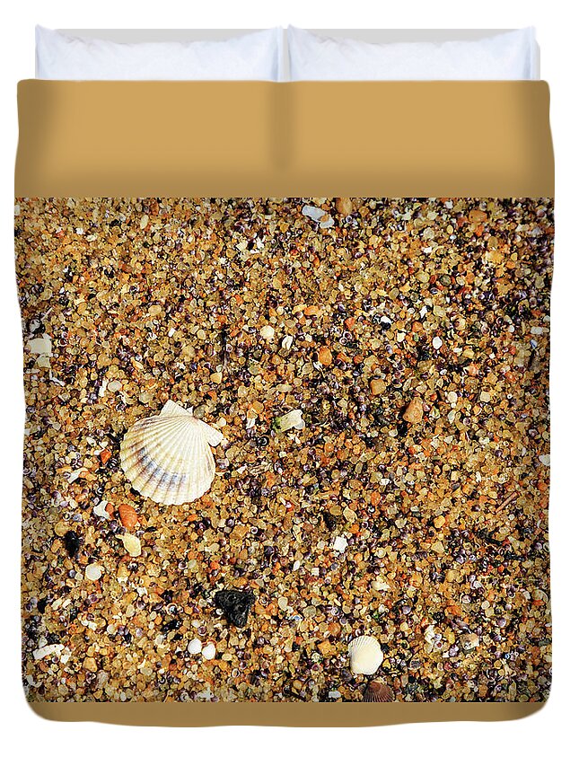 Seascape Duvet Cover featuring the photograph Scallop Shell by David Lee