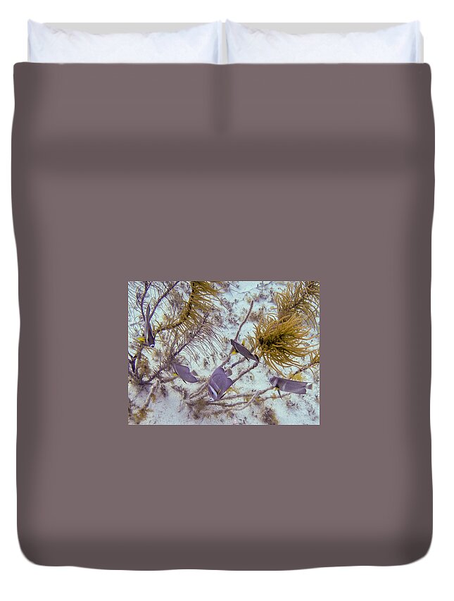 Animals Duvet Cover featuring the photograph School Dance by Lynne Browne