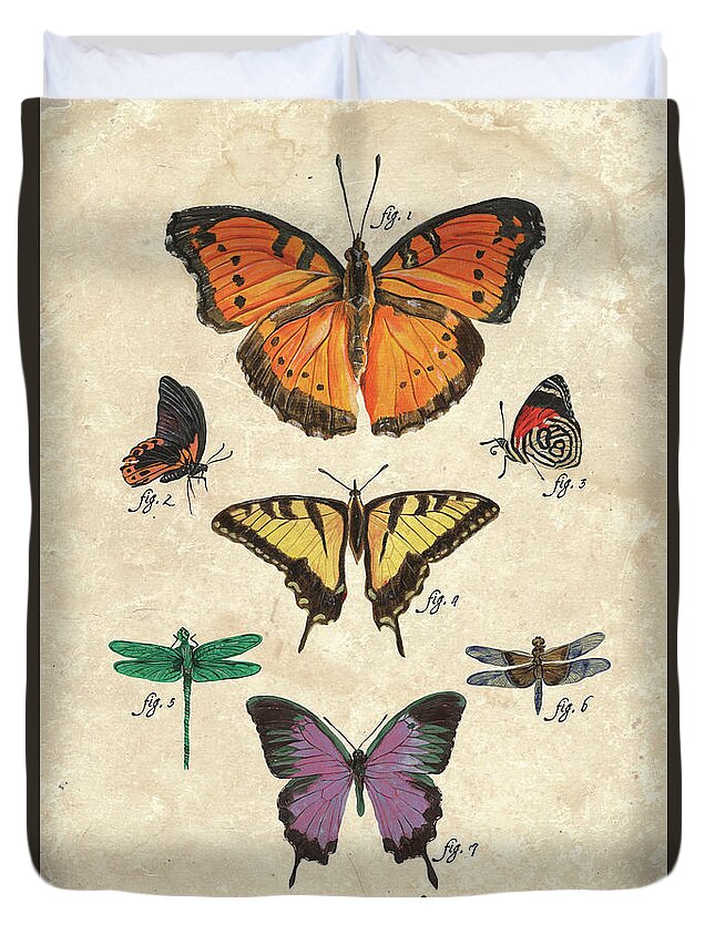 Butterflies Duvet Cover featuring the painting Scientific Butterflies 1 by Debbie DeWitt