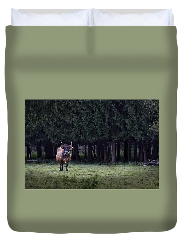 Cow Duvet Cover featuring the photograph Scruffy by Mark Fuller