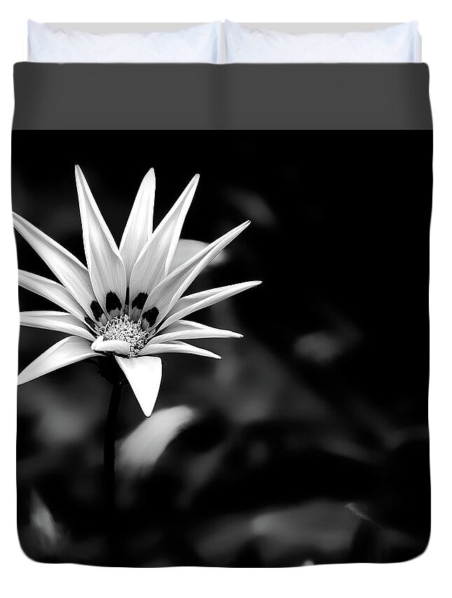 Sea Gazania Duvet Cover featuring the photograph Sea gazania in black and white by Al Fio Bonina
