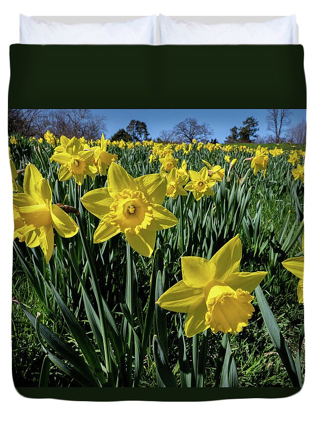 Spring Duvet Cover featuring the photograph Sea of Daffodils by Kevin Suttlehan