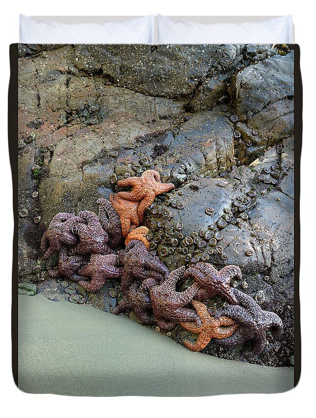 Tonquin Beach Duvet Cover featuring the photograph Sea stars on the rocks at Tonquin Beach, Tofino by Kevin Oke