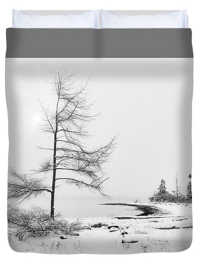 Landscape Duvet Cover featuring the photograph Seaborne Trees and Sun Black and White by Allan Van Gasbeck