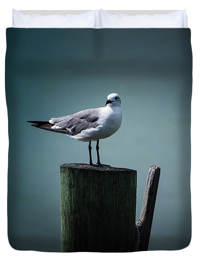 Seagull Duvet Cover featuring the photograph Seagull Lookout by Blair Damson