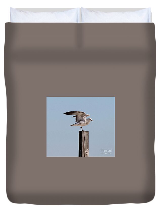 Seagull Duvet Cover featuring the photograph Seagull on Post by Catherine Wilson