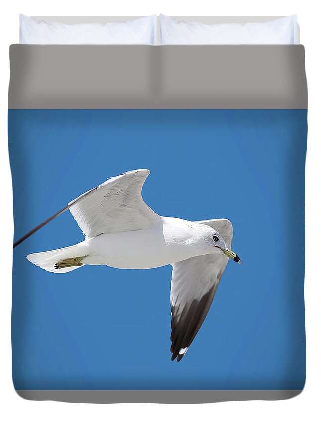 Bird Duvet Cover featuring the photograph Seagull over Tybee by Ludwig Keck