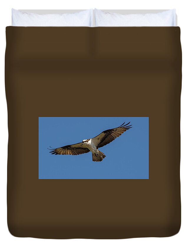 Osprey Duvet Cover featuring the photograph Searching by Cathy Kovarik