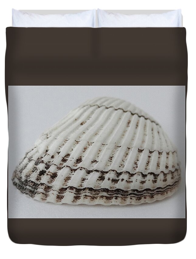 Seashell Duvet Cover featuring the photograph Seashell by Julia Wilcox
