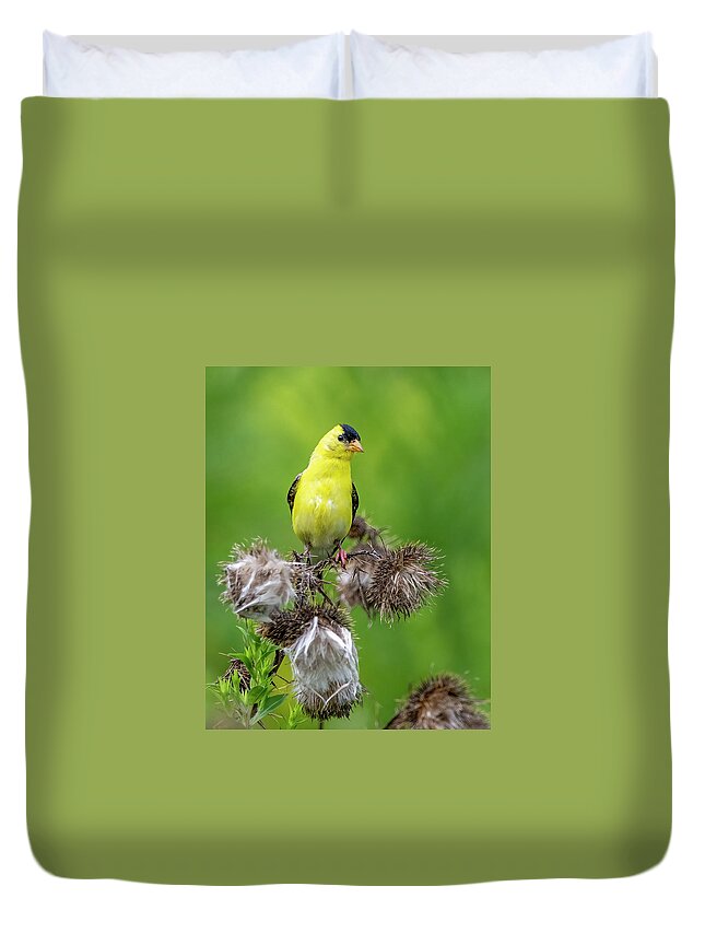Goldfinch Duvet Cover featuring the photograph Season's End by Regina Muscarella