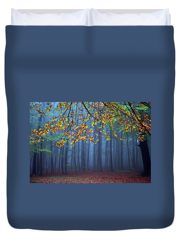 Autumn Duvet Cover featuring the photograph Seconds Before The Light Went Out by Roeselien Raimond