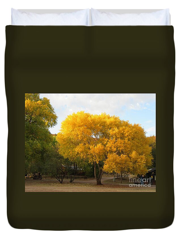Sedona Duvet Cover featuring the photograph Sedona Cottonwood Tree Autumn Yellow Glowing by Mars Besso
