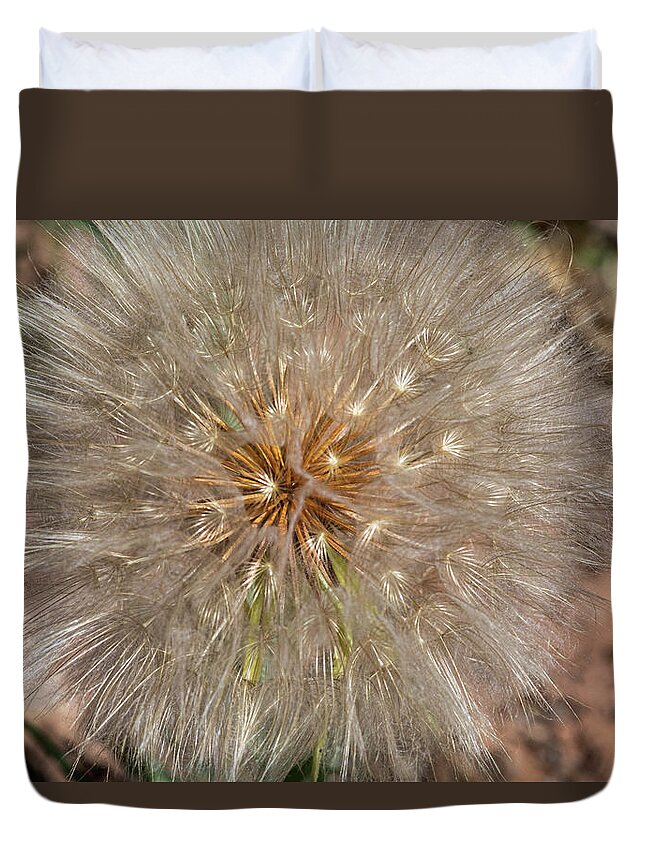 Moab Duvet Cover featuring the photograph Seed Pod Reflections by Dan Norris