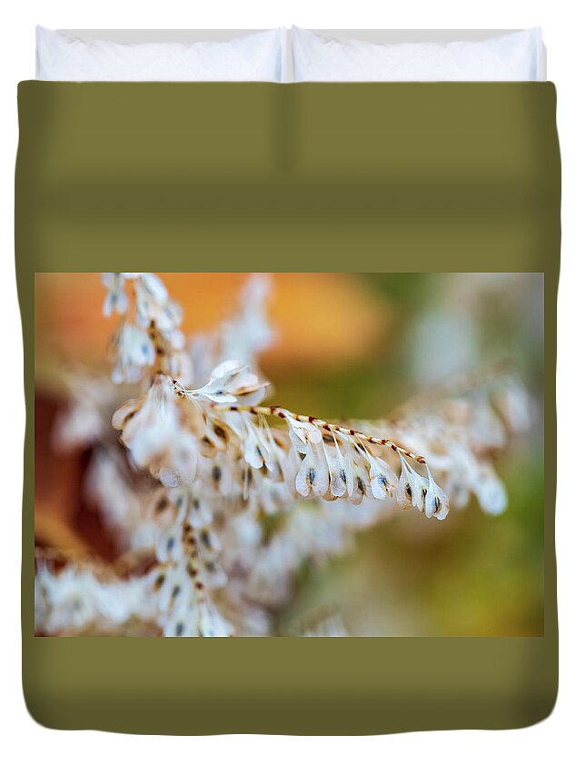Nature Duvet Cover featuring the photograph Seed Pods by Amelia Pearn