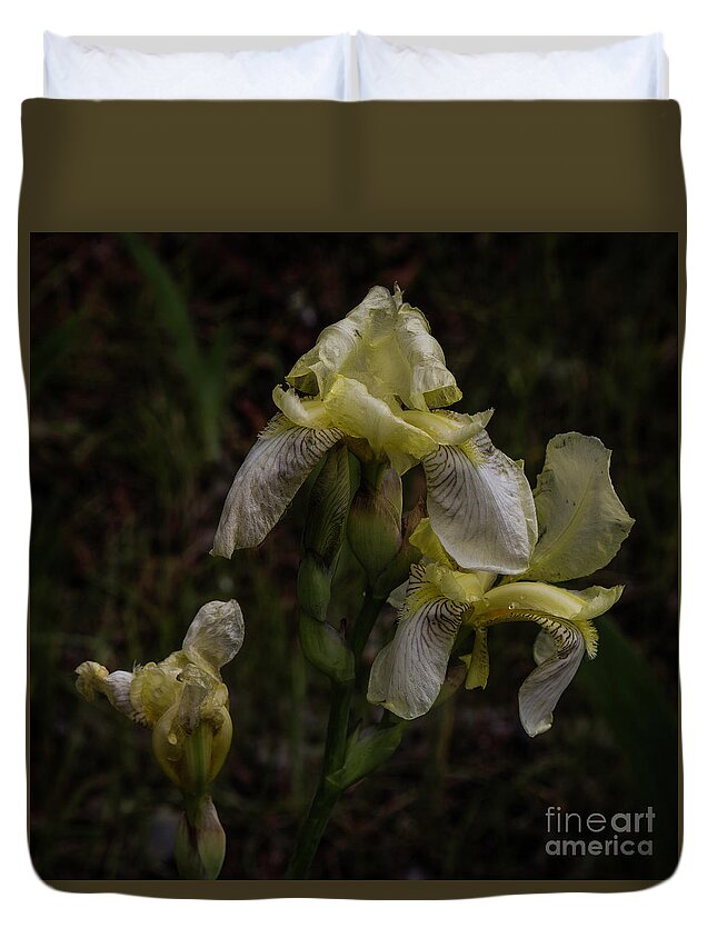 Flowers Duvet Cover featuring the photograph Seeing Yellow in the Rain by Kathy McClure
