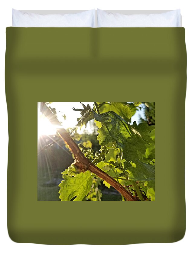 Grape Duvet Cover featuring the photograph Seen It Through The Grape Vine by Brent Knippel