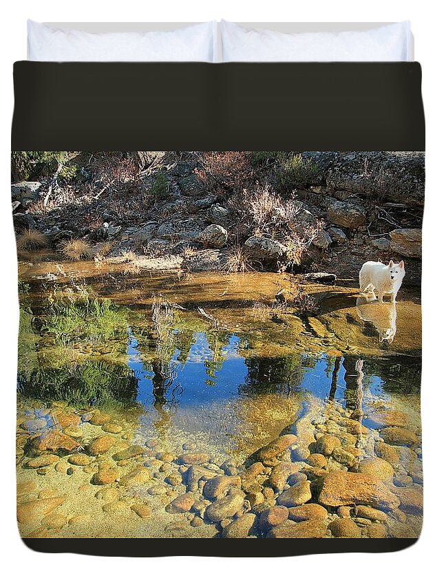 Sierra.stream Duvet Cover featuring the photograph Sekani Autumn Mirror by Sean Sarsfield