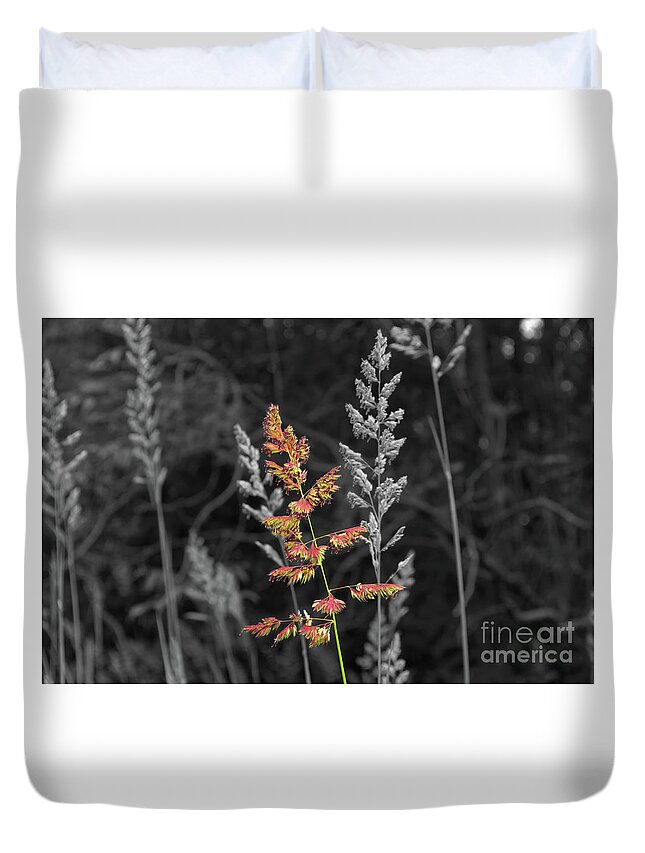 Digital Art Duvet Cover featuring the photograph Selective colour of grassland-Hopwood Nature Reserve England UK by Pics By Tony