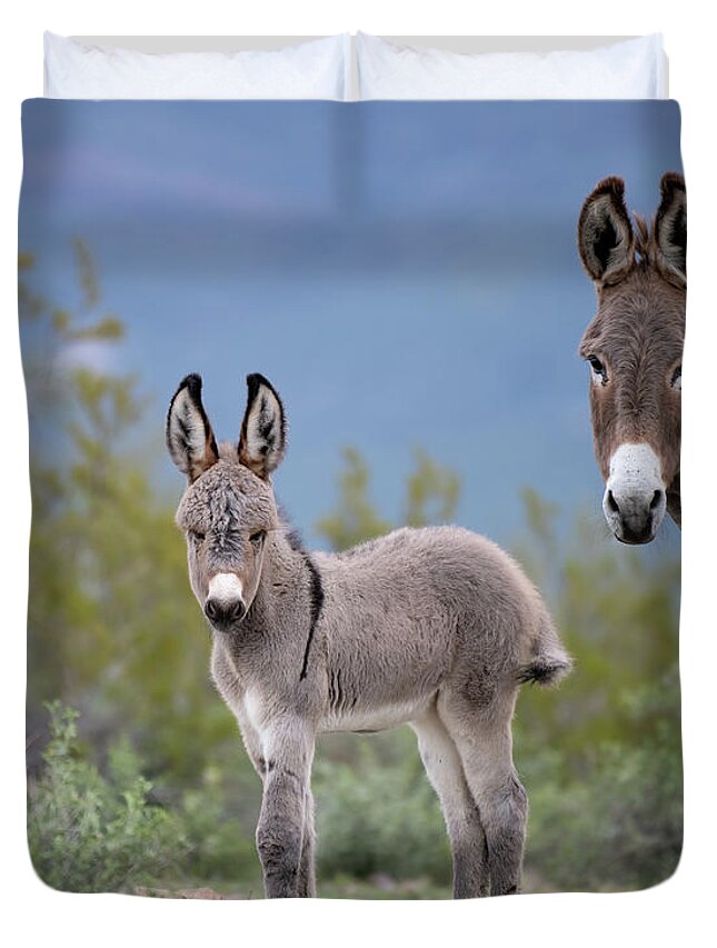 Wild Burro Duvet Cover featuring the photograph Self Assured by Mary Hone