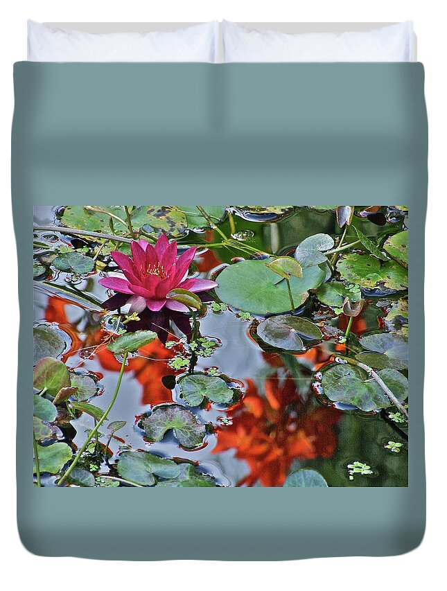 Waterlily: Water Garden Duvet Cover featuring the photograph September Rose Water Lily 1 by Janis Senungetuk
