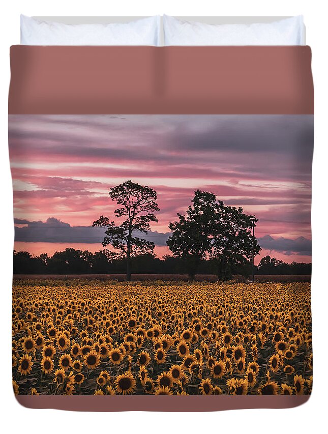 Sunflower Duvet Cover featuring the photograph September Sunflowers by Arthur Oleary