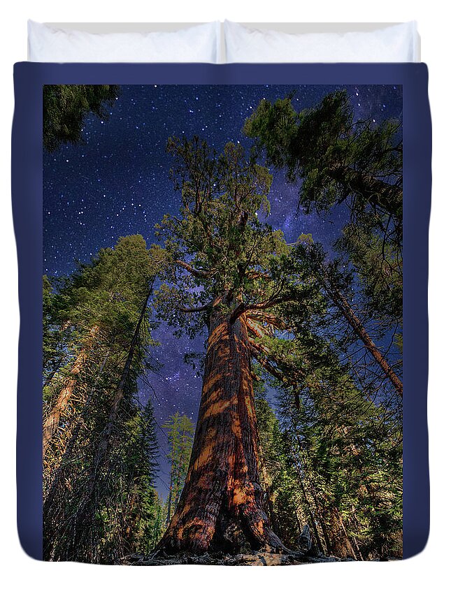 California Duvet Cover featuring the photograph Serenity by Moonlight by Dan Carmichael