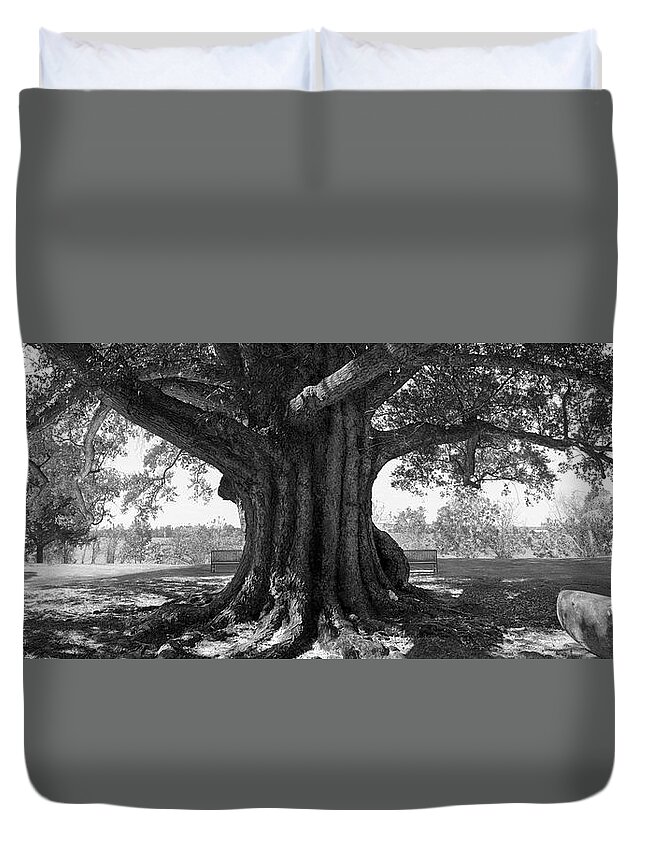 Shade Tree Duvet Cover featuring the photograph Shade Tree B W by Mike McGlothlen