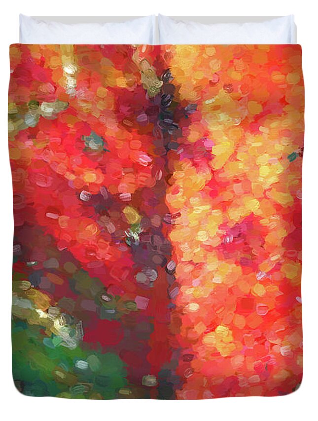 Colorful Duvet Cover featuring the photograph Shades of Autumn by Elaine Teague