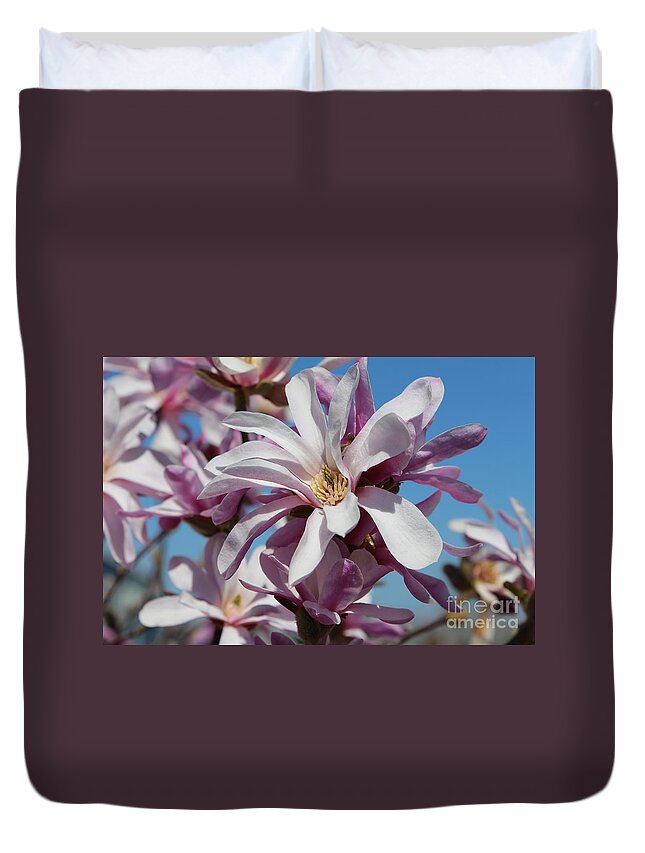 Loebner Magnolia Duvet Cover featuring the photograph Shades of Pink Magnolia by Carol Groenen