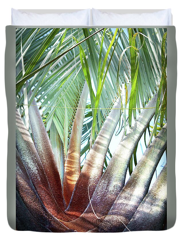 Palm Duvet Cover featuring the photograph Shapes of Hawaii 14 by Ellen Cotton