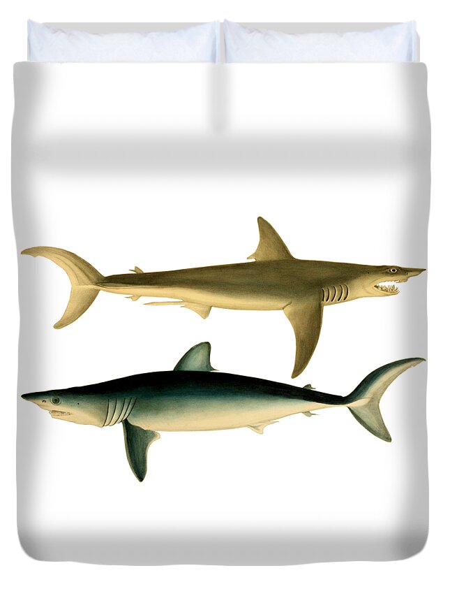 Shark Duvet Cover featuring the digital art Sharks by Madame Memento